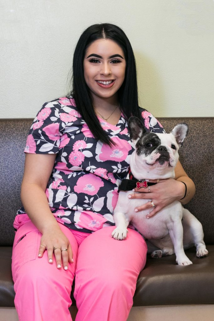 Our Veterinary Team in San Jose, CA Lincoln Avenue Veterinary Clinic