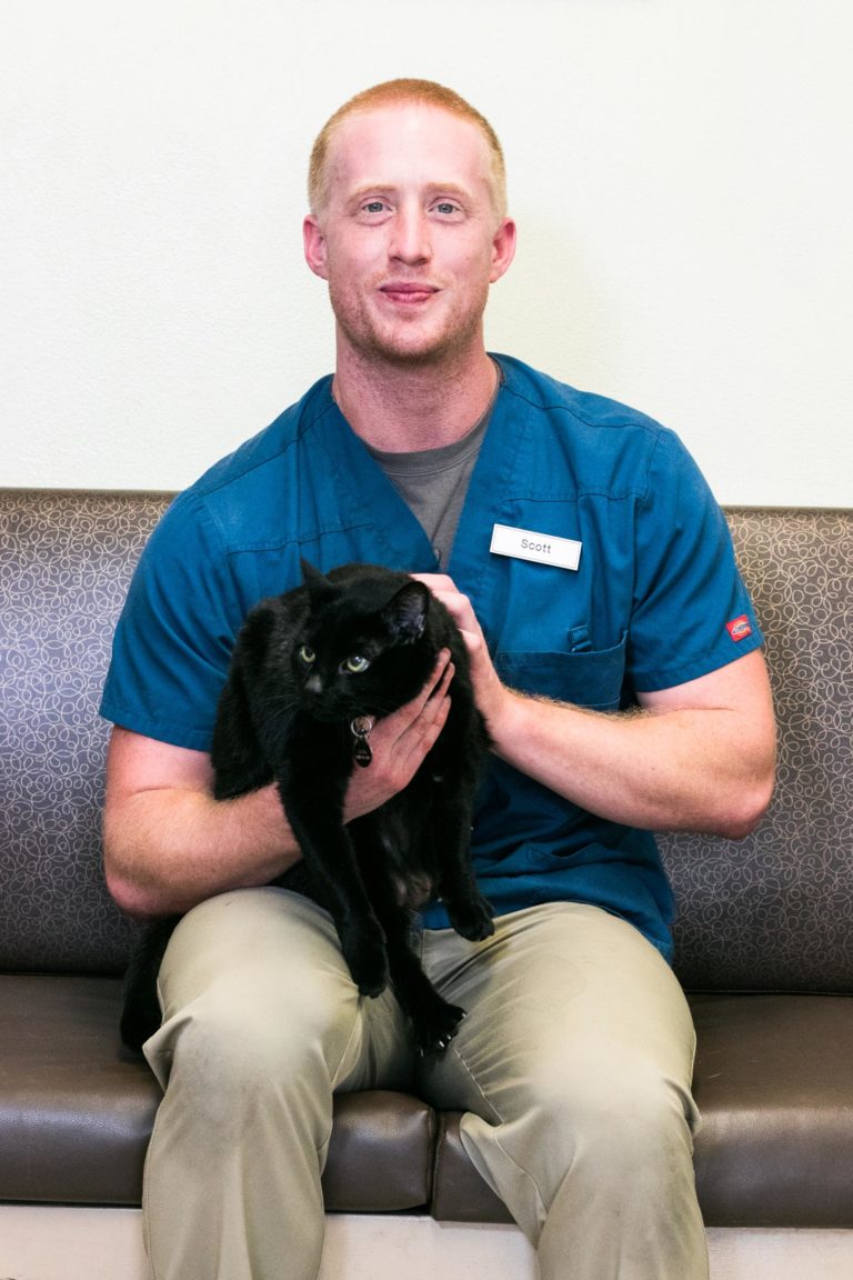 Our Veterinary Team in San Jose, CA | Lincoln Avenue Veterinary Clinic